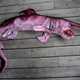 Image for article titled 12 More Real Animals We Can’t Believe Aren't Pokémon